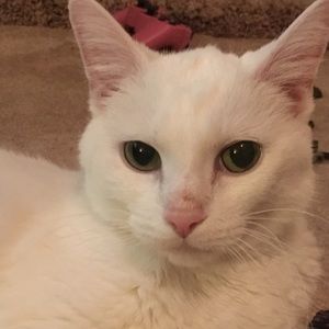 Meet your Posher, Andrina